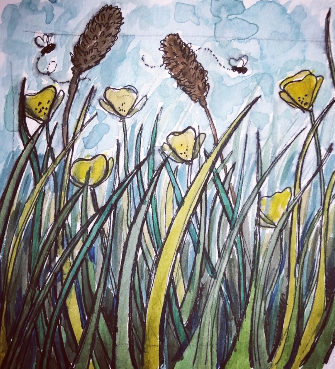 My Name Alice Flower field