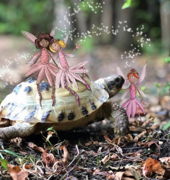 Tortoise fairies